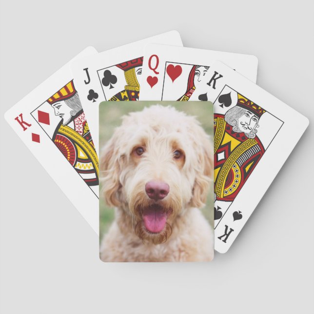 Goldendoodle-leende Casinokort (Baksidan)