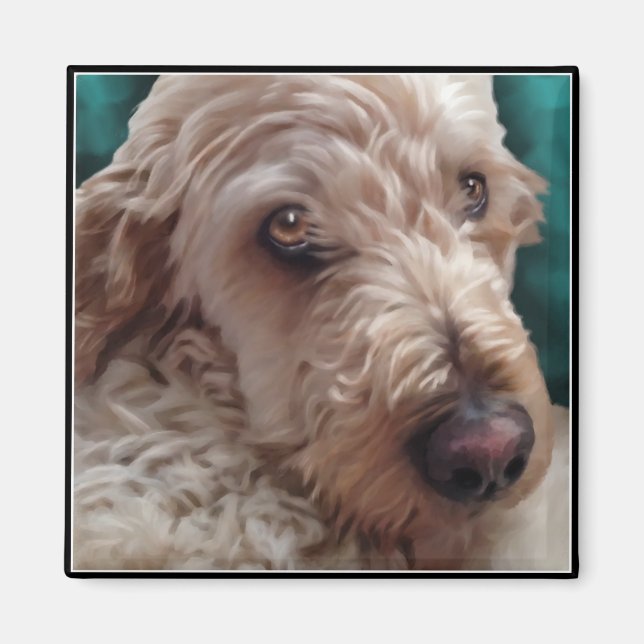 Goldendoodle Magnet (Framsidan)