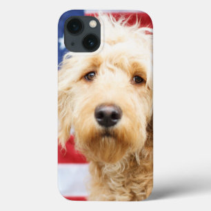Goldendoodle med amerikansk Flagga