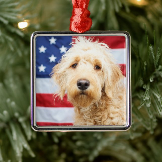 Goldendoodle med amerikansk Flagga Julgransprydnad Metall (Träd)