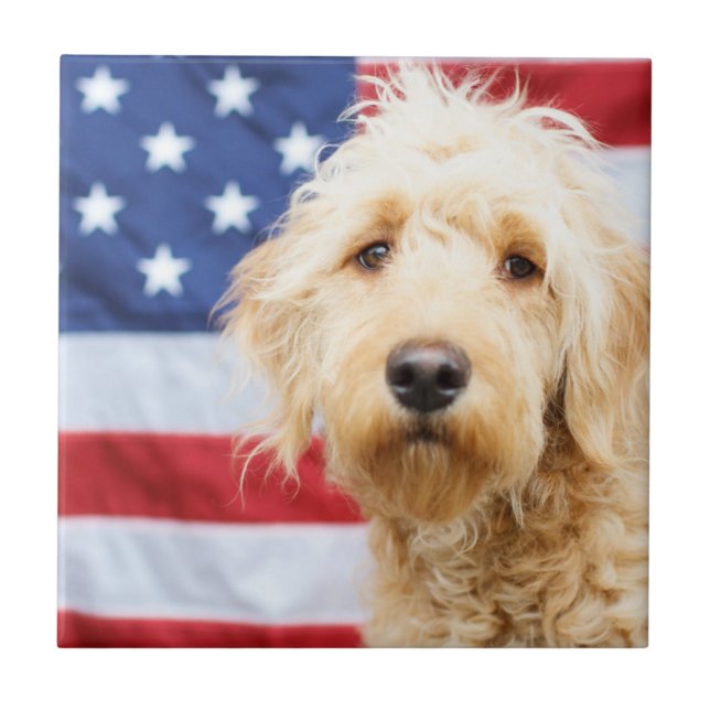 Goldendoodle med amerikansk Flagga Kakelplatta (Framsidan)