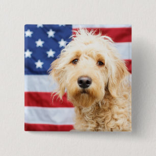 Goldendoodle med amerikansk Flagga Knapp