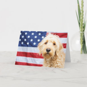 Goldendoodle med amerikansk Flagga Kort