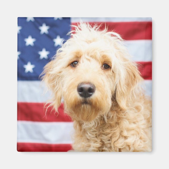 Goldendoodle med amerikansk Flagga Magnet (Framsidan)