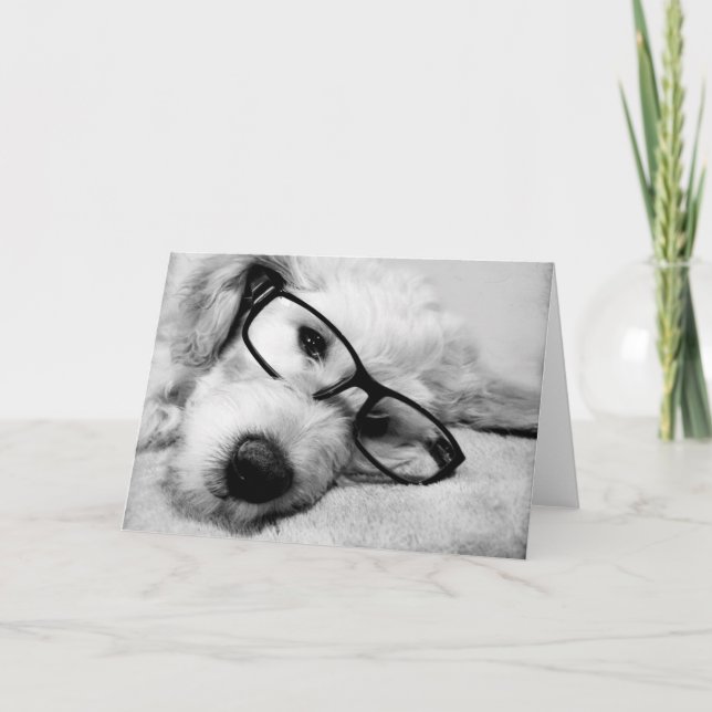Goldendoodle med glas kort (Framsida)