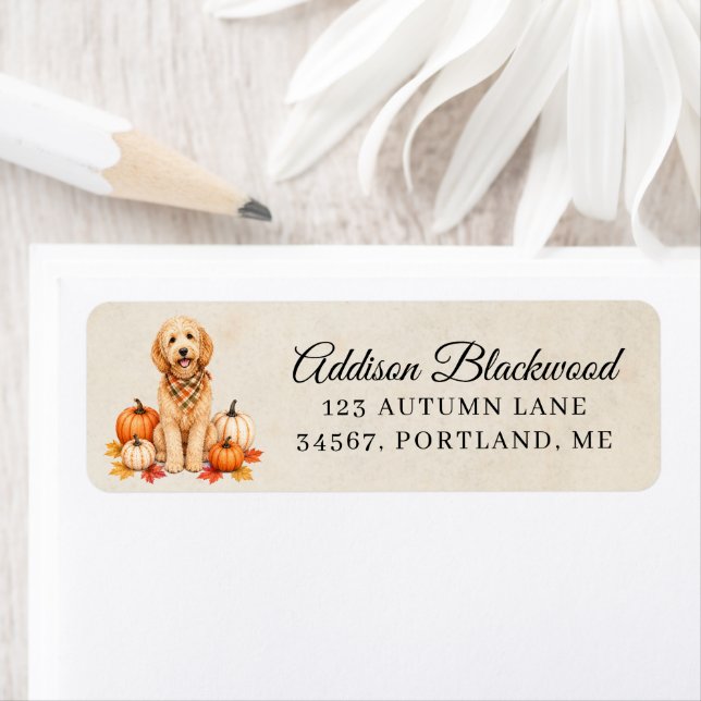 Goldendoodle med höstpumpor returadress etikett (Insitu)