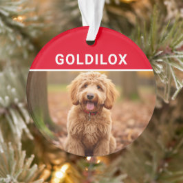 Goldendoodle med Namn-fotojul i Hund