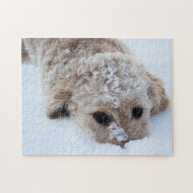 Goldendoodle med näs i Snö Pussel (Horisontell)