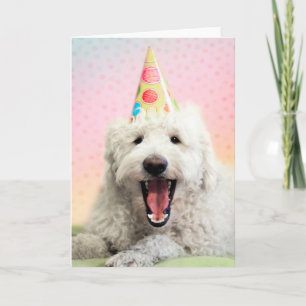 Goldendoodle med Party Hat Kort