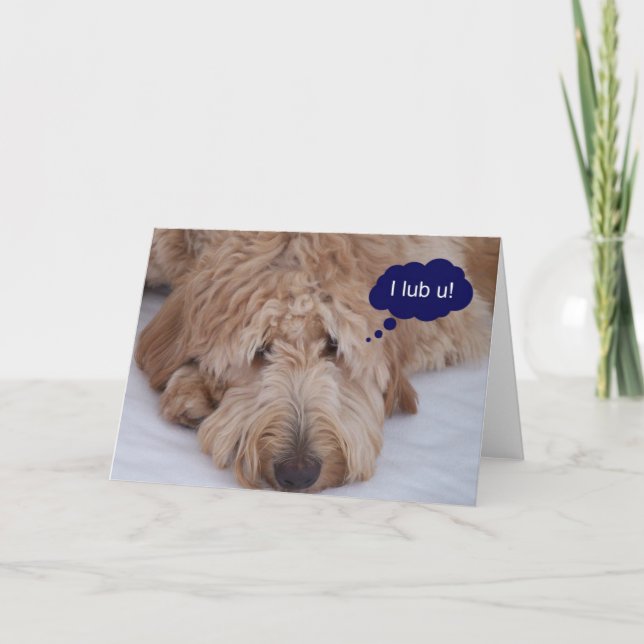 Goldendoodle "mig lub u!", Kort (Framsida)