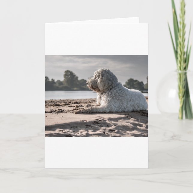 goldendoodle på stranden kort (Framsida)