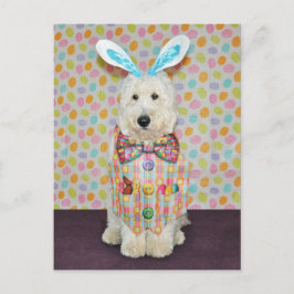Goldendoodle Påsk vykort