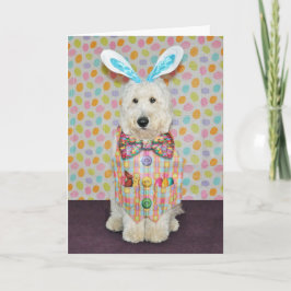 Goldendoodle påskkort helgkort