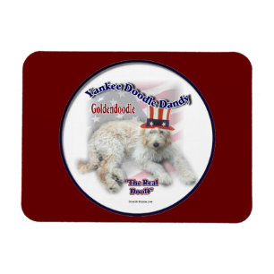 Goldendoodle Poliltical Humor Magnet