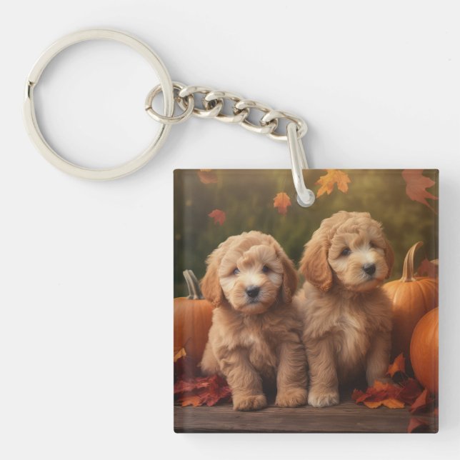 Goldendoodle Puppy Autumn Delight Pumpkin (Framsidan)