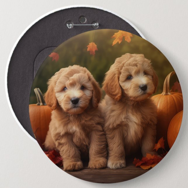 Goldendoodle Puppy Autumn Delight Pumpkin Knapp (Framsida & baksida)