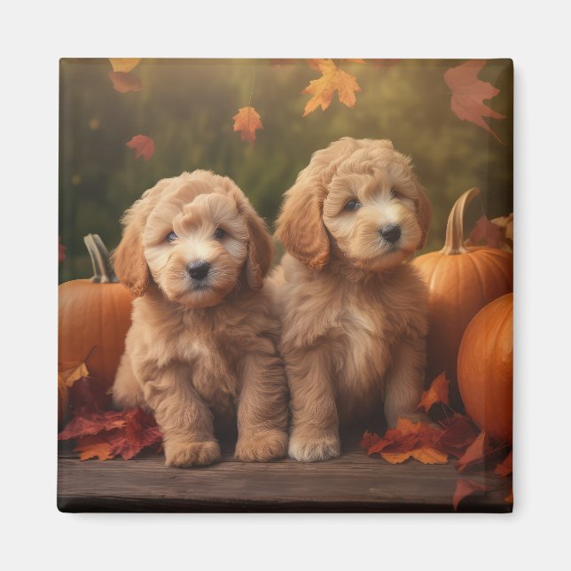 Goldendoodle Puppy Autumn Delight Pumpkin Magnet (Framsidan)
