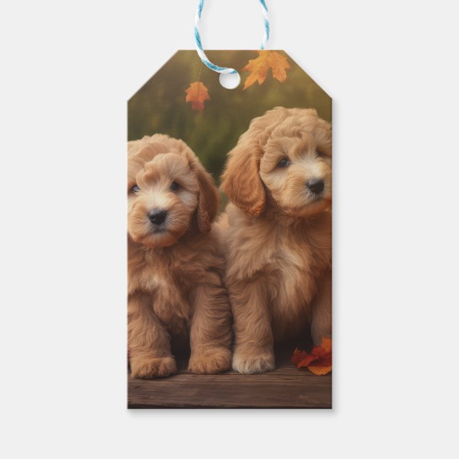 Goldendoodle Puppy Autumn Delight Pumpkin Presentetikett (Framsidan)