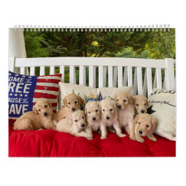 Goldendoodle Puppy Calendar Kalender