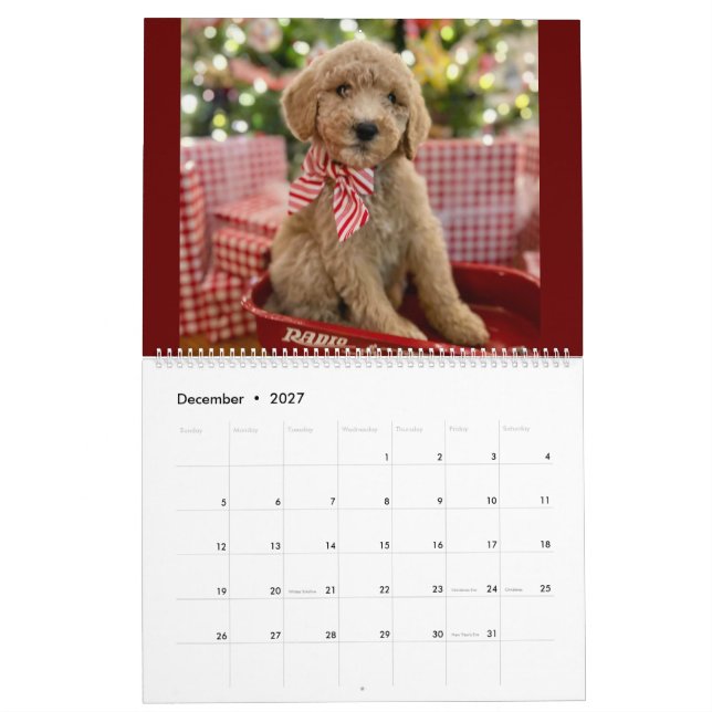 Goldendoodle Puppy Calendar Kalender (Dec 2027)