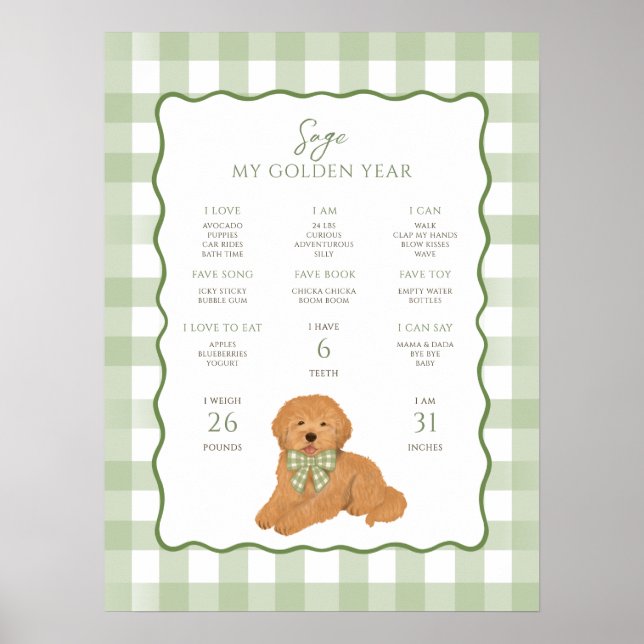 Goldendoodle Puppy Dog 1st Birthday Milestone  Poster (Framsidan)