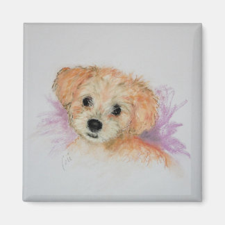 Goldendoodle Puppy Hund Art Magnet