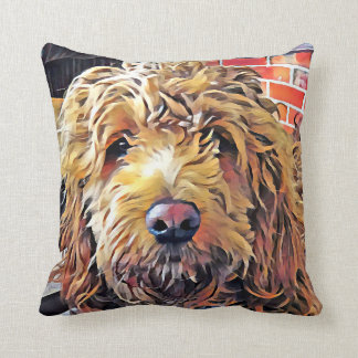 Goldendoodle puppy-kudde kudde