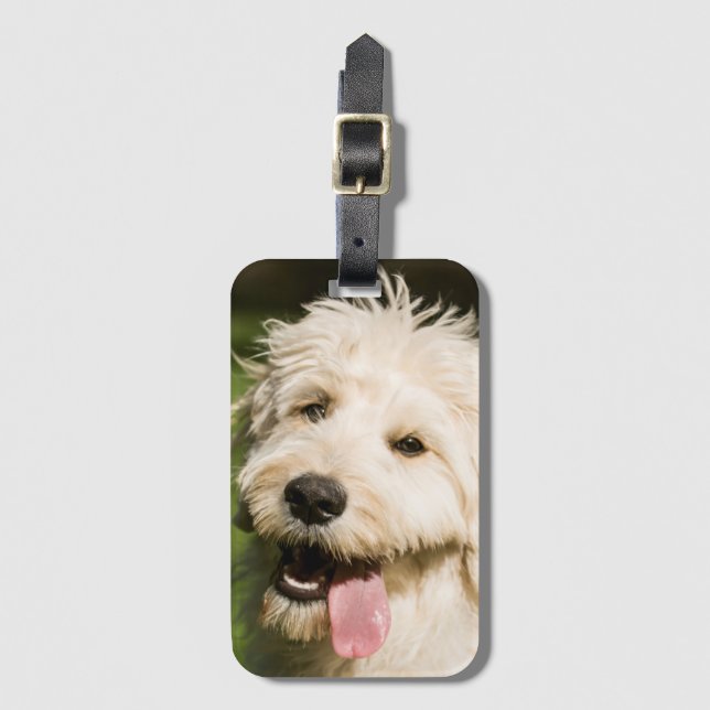 Goldendoodle Puppy Panting Bagagebricka (Framsida vertikal)