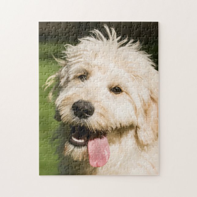 Goldendoodle Puppy Panting Pussel (Vertikal)