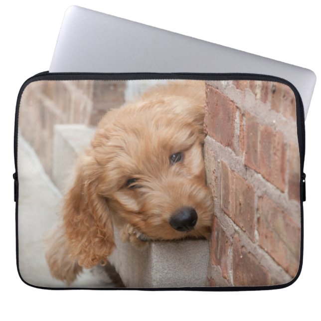 Goldendoodle Puppy Peeking Laptop Fodral (Framsidan)