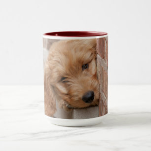 Goldendoodle Puppy Peeking Mugg