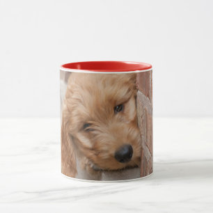 Goldendoodle Puppy Peeking Mugg