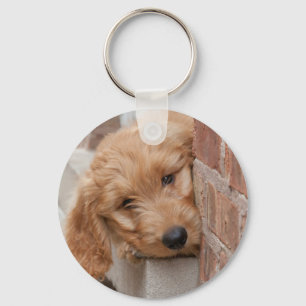 Goldendoodle Puppy Peeking Nyckelring