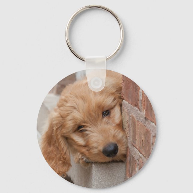 Goldendoodle Puppy Peeking Nyckelring (Framsida)