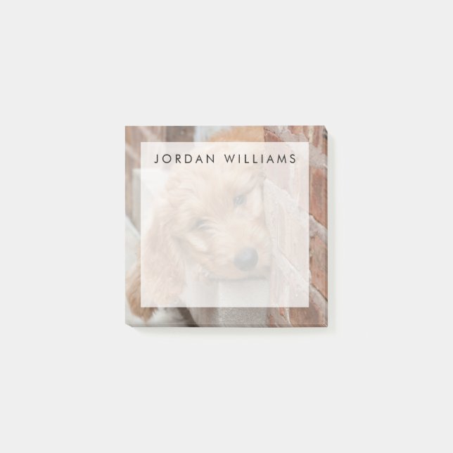 Goldendoodle Puppy Peeking Post-it Block (Framsida)