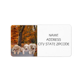 GOLDENDOODLE PUPPY RETURN ETIKETTER ADRESSETIKETT