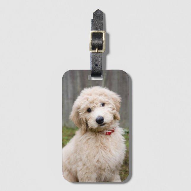 Goldendoodle Puppy Sits in Gran Bagagebricka (Framsida vertikal)