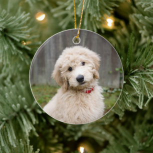 Goldendoodle Puppy Sits in Gran Julgransprydnad Keramik