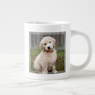 Goldendoodle Puppy Sits in Gran Jumbo Mugg