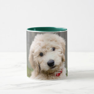 Goldendoodle Puppy Sits in Gran Mugg