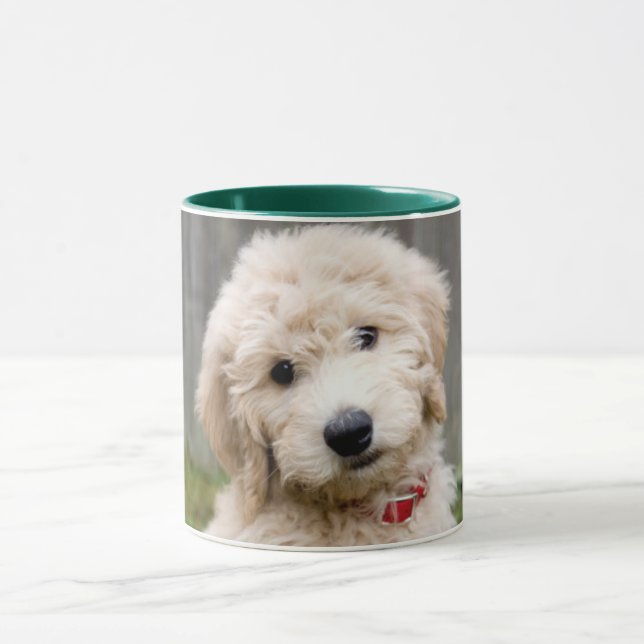 Goldendoodle Puppy Sits in Gran Mugg (Center)