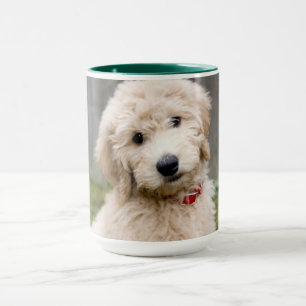 Goldendoodle Puppy Sits in Gran Mugg