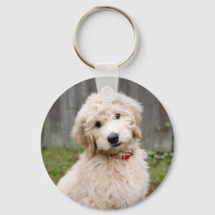Goldendoodle Puppy Sits in Gran Nyckelring