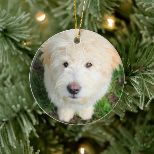 Goldendoodle Puppy Tittar i kameran Julgransprydnad Keramik (Träd)