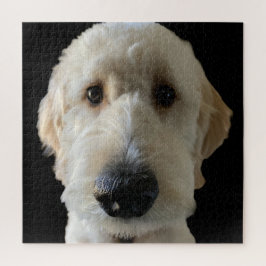Goldendoodle Puzzle Pussel
