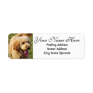 Goldendoodle-Returadress Returadress Etikett