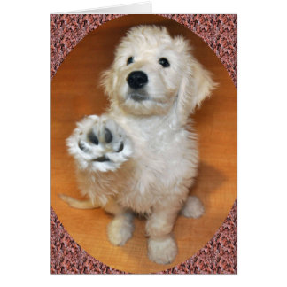 Goldendoodle samtal till tasskortet hälsningskort
