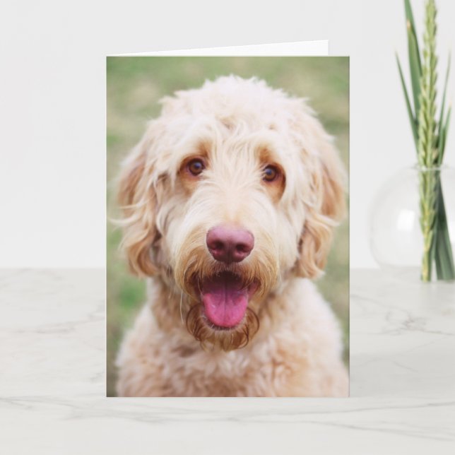 Goldendoodle Smiling Kort (Framsida)