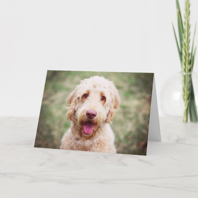 Goldendoodle Smiling Kort (Framsida)