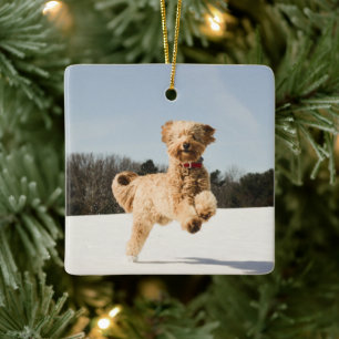 Goldendoodle som löper genom Fält Julgransprydnad Keramik
